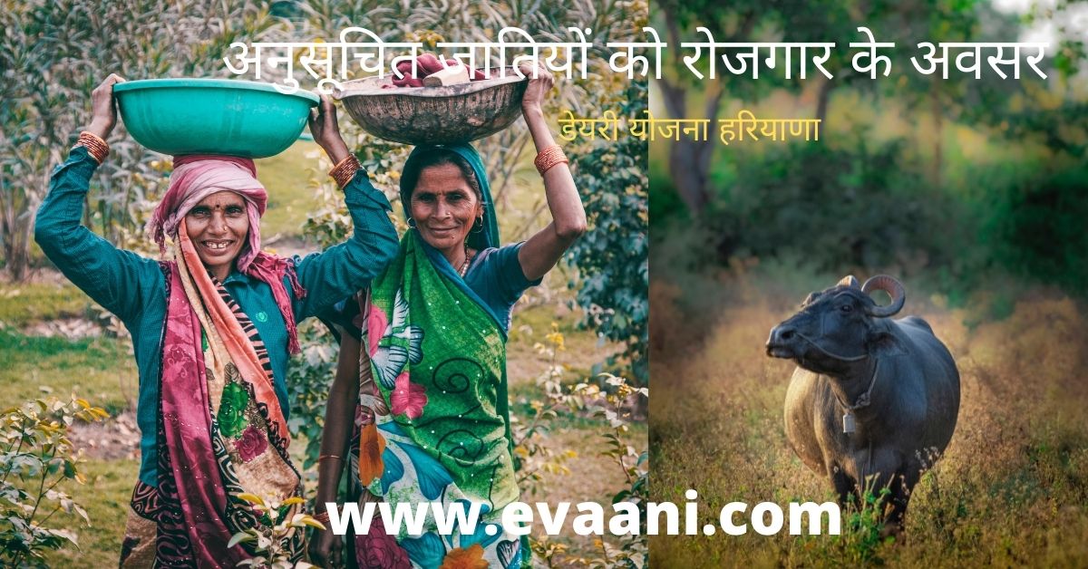 अनुसूचित जातियों को रोजगार के अवसर